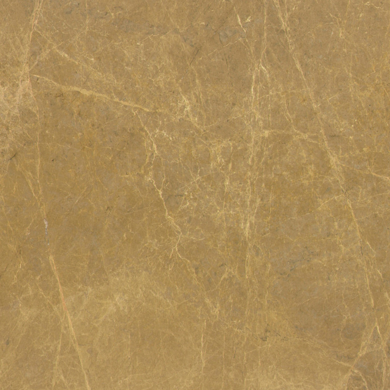 Dune Close-Up
