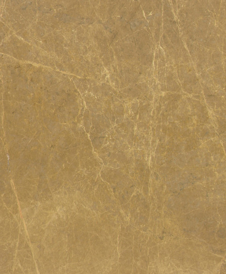 Dune Close-Up