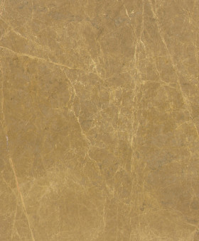 Dune Close-Up