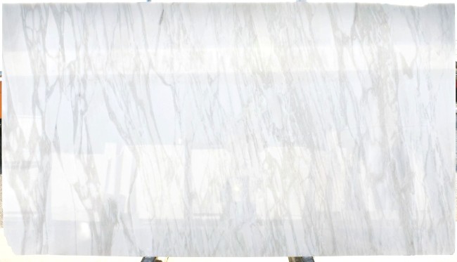 Calacatta Ango slab