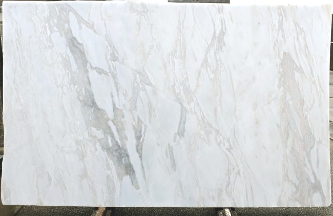 Calacatta Ango slab