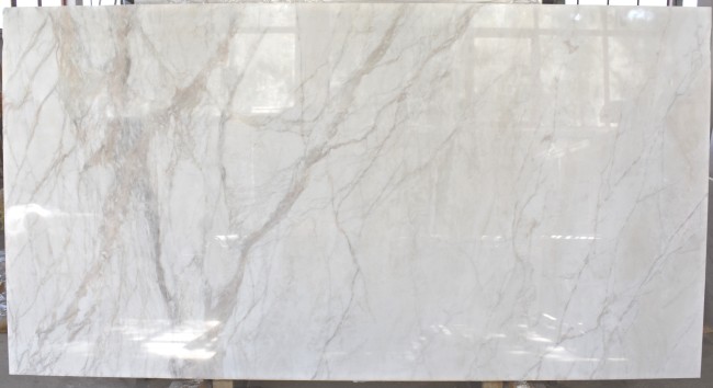 Calacatta Ango slab