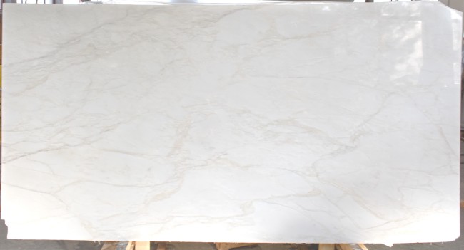 Calacatta Ango slab