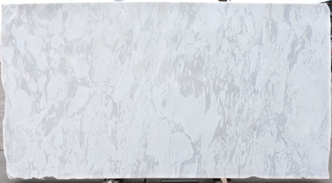 Calacatta Ango slab