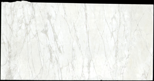 Calacatta Ango slab