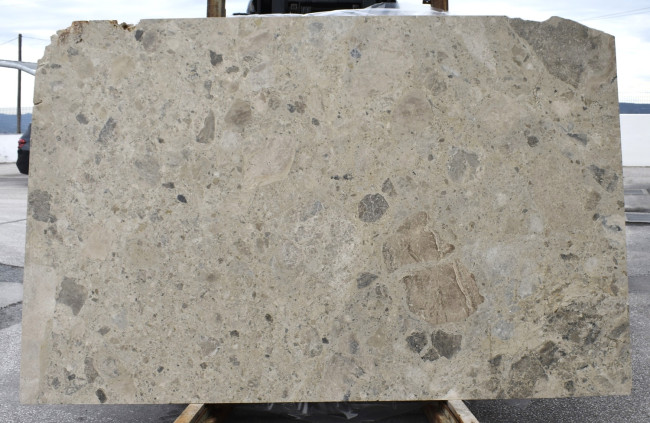 Ceppo Di Noci Indicative Slab No.3